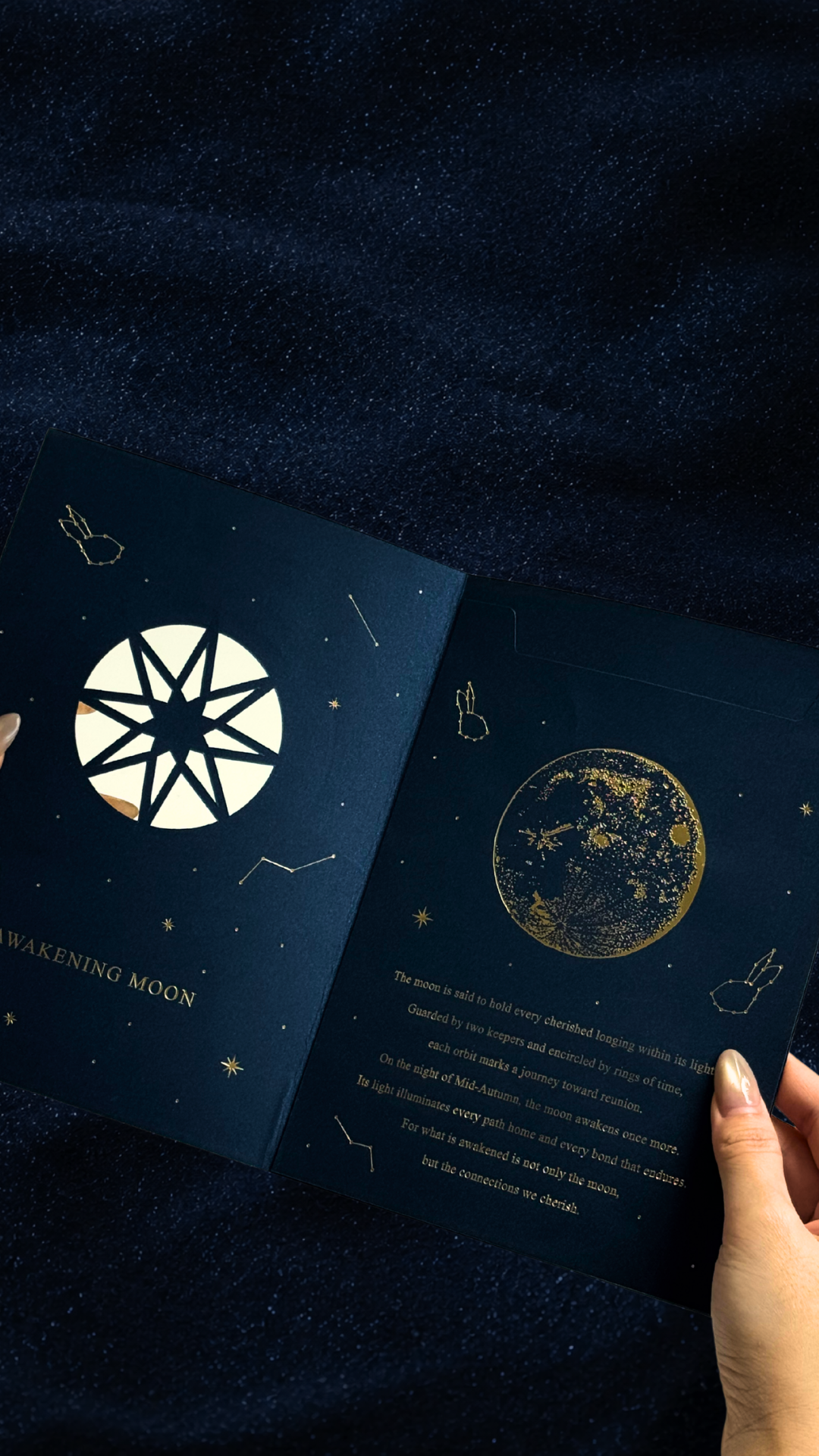 Awakening Moon 唤月